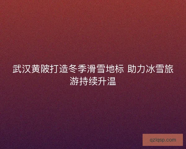 武汉黄陂打造冬季滑雪地标 助力冰雪旅游持续升温